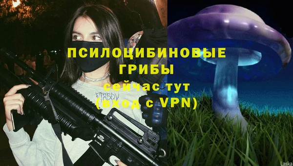 крисы Краснотурьинск